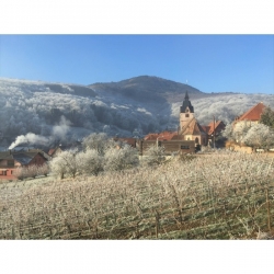 Domaine Bohn Les Roches Rouges