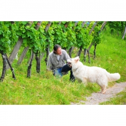 Domaine Bohn Les Roches Rouges