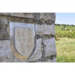 Hospices du Beaune Pommard Cuvee Suzanne Chaudron