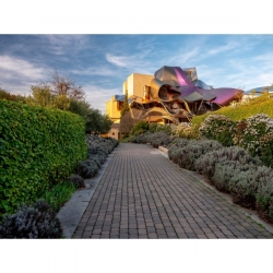 Marques de Riscal Red Reserva